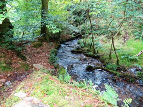 41.-Flowing-below-Beaters-Rocks-2