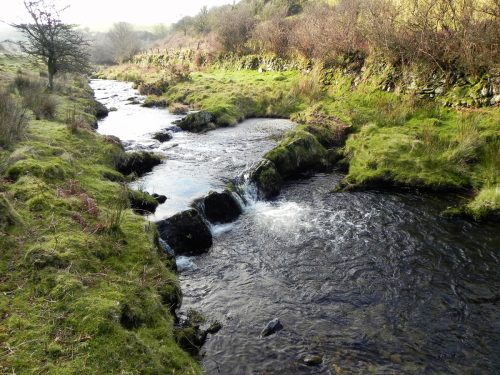 41.-Flowing-below-Stowey-Ridge-2