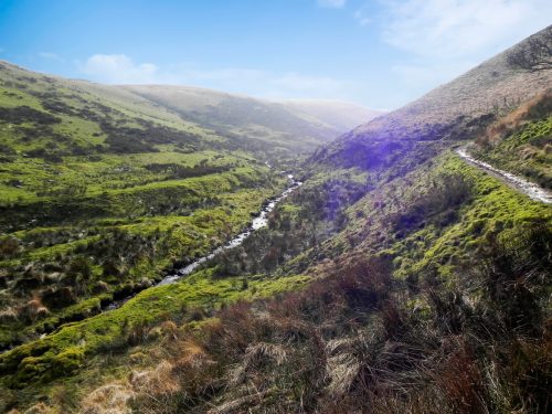 41.-Flowing-between-Hoar-Oak-Hill-and-Exe-Plain-2