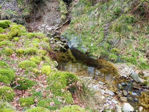 41.-Flowing-through-Mansley-Combe-2