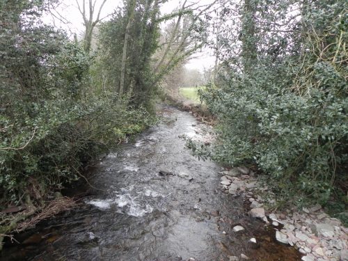 41.-Looking-downstream-from-West-Luccombe-ROW-footbridge
