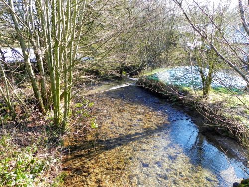 41.-Looking-upstream-from-Bushel-Bridge-2