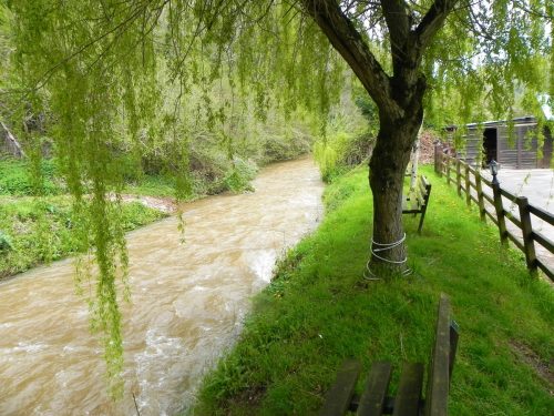 41.-Near-Little-Wood-Roadwater-2