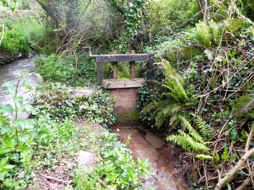 41.-Pitt-Mill-leat-sluice-2