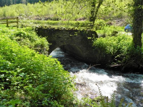 41.-Slowley-Wood-ROW-Bridge-3125-downstream-arch-2