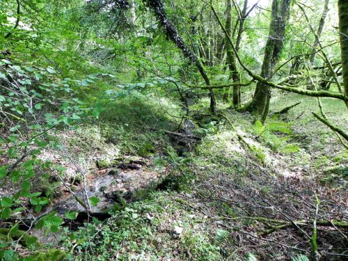 41.-Stream-joins-from-Sindercombe-Wood-2