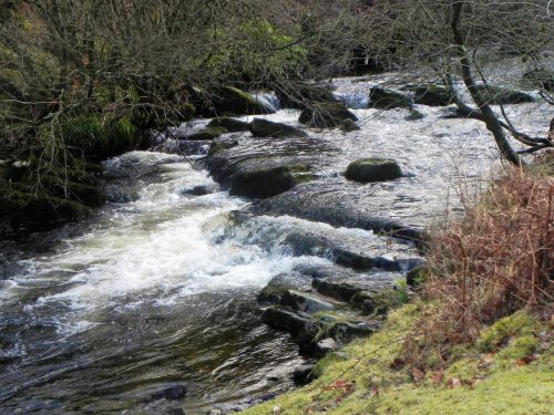 41.-Upstream-from-Cloud-Farm-2
