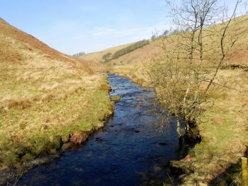 41.-Upstream-from-Great-Woolcombe-2
