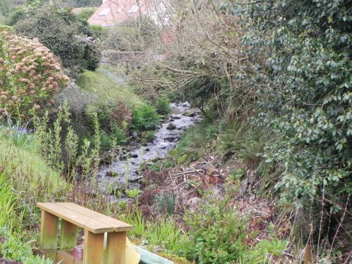 41.-Upstream-from-Hawkcombe-Mill