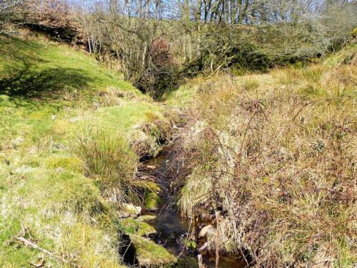 41.-Waters-flowing-down-Fox-Combe-2