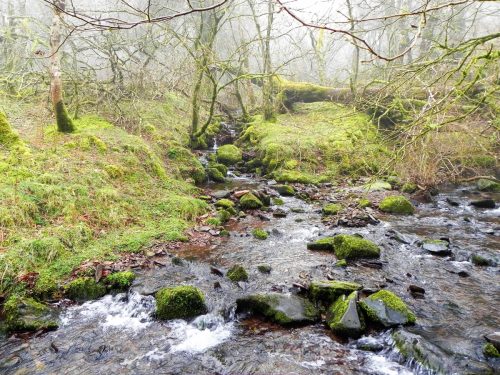41.-Waters-from-Aller-Combe-join-East-Water-2