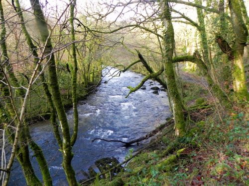 42.-Below-Knaplock-Wood-2