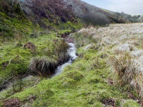 42.-Downstream-from-Chetsford-Bridge-2
