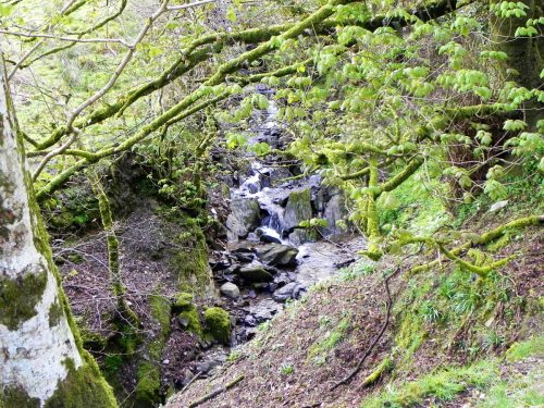 42.-Downstream-from-Holworthy-Ford-2