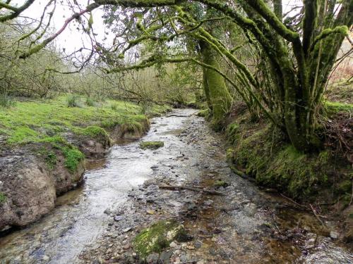 42.-Downstream-from-Riscombe-Combe-2