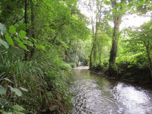 42.-Downstream-from-Tone-Viaduct