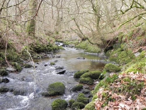 42.-Downstream-from-from-Stoke-Combe