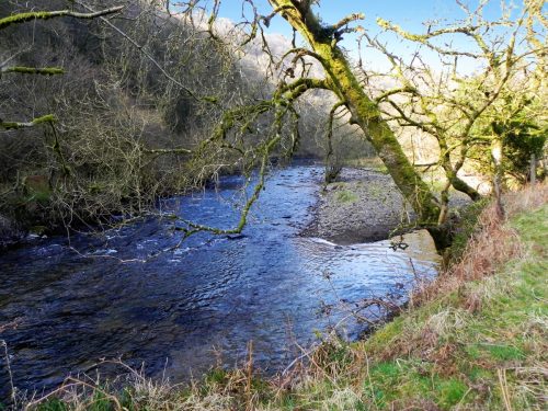 42.-Flowing-Past-Great-Birchcleeve-Wood-2