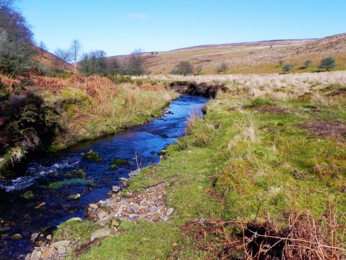 42.-Flowing-below-Furzehill-Common-2