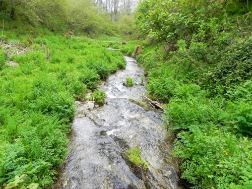 42.-Flowing-through-Parsons-Close-Plantation-6