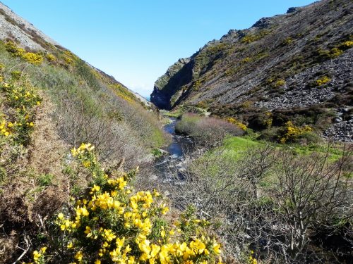 42.-Flowing-to-the-sea-2