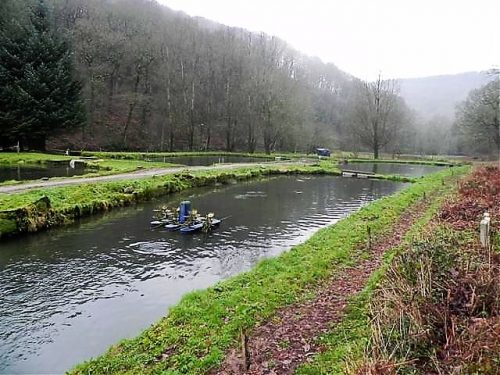 42.-Hartford-Trout-Farm-Ponds-2
