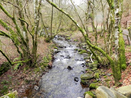 42.-Looking-downstream-from-Pool-Bridge-2
