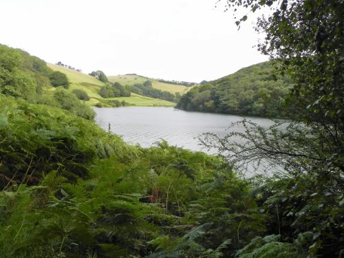 42.-Looking-north-east-2