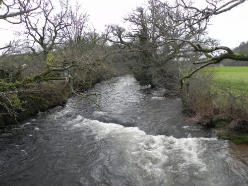 42.-Looking-upstream-from-Brushford-Bridge