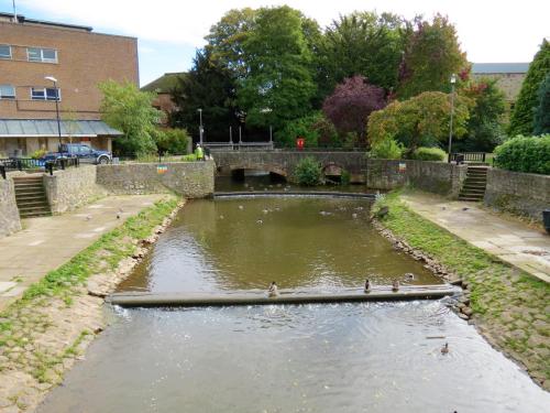 42.-Looking-upstream-from-Mill-Stream-Goodlands-Garden-footbridge-2