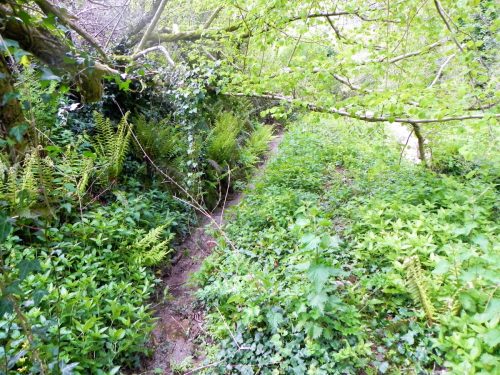 42.-Pitt-Mill-leat-2