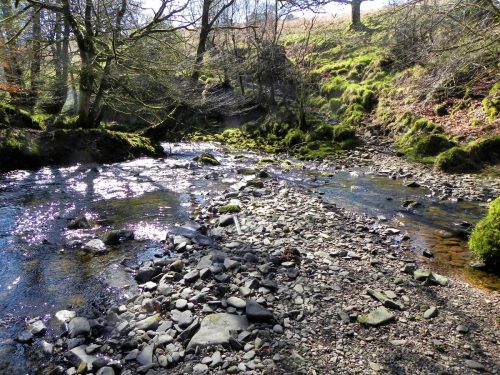 42.-Stream-from-Molland-Common-joins-Danes-Brook-2