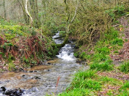 42.-Tributary-stream-Hartford-Bottom-2