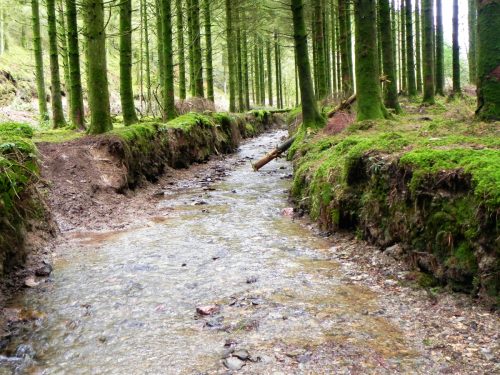 42.-Upstream-from-Beatland-Plantation-Ford-2
