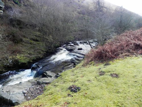 42.-Upstream-from-Cloud-Farm-2