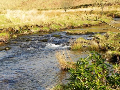 42.-Upstream-from-Great-Woolcombe-2