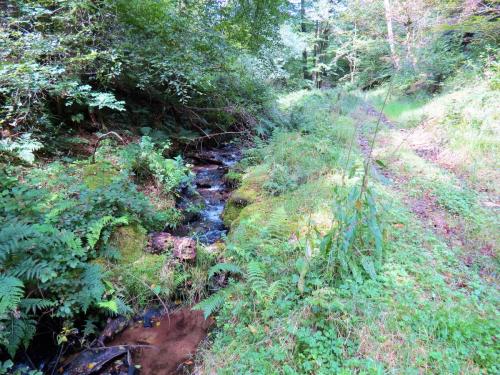 42.-Upstream-from-bridleway-DU-715-ford-2