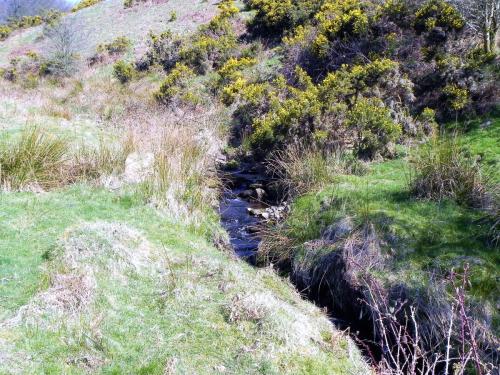 42.-Waters-flowing-down-Fox-Combe-2