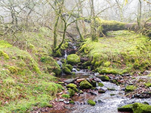 42.-Waters-from-Aller-Combe-join-East-Water-2