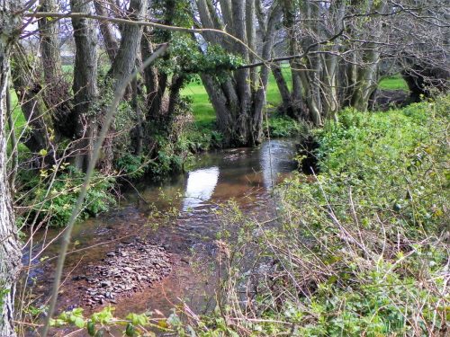 42.Downstream-from-Piles-Mill-Bird-Watching-Hide-2