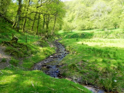 42.Leaving-Old-Stowey-Wood-6