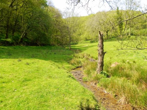 42.Leaving-Old-Stowey-Wood-7