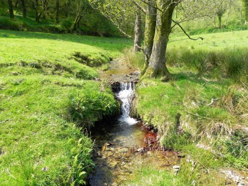 42.Leaving-Old-Stowey-Wood-8