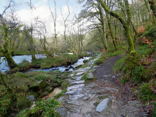 43.-Below-Knaplock-Wood-2