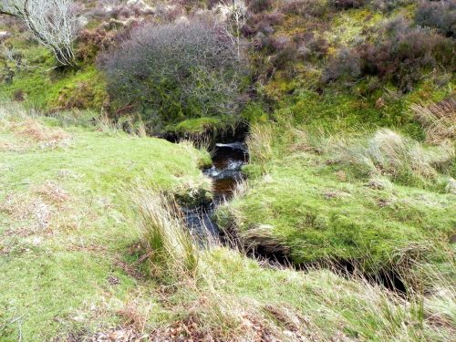 43.-Downstream-from-Chetsford-Bridge-2
