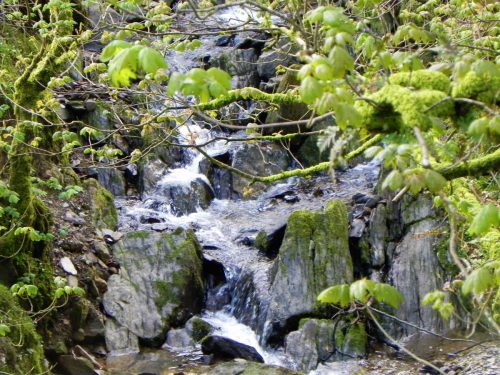 43.-Downstream-from-Holworthy-Ford-2