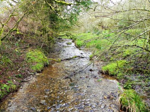 43.-Downstream-from-Riscombe-Combe-2