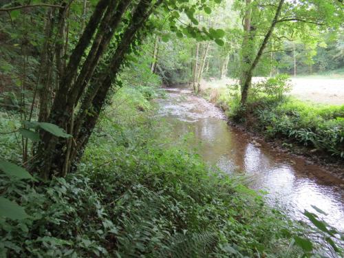 43.-Downstream-from-Tone-Viaduct