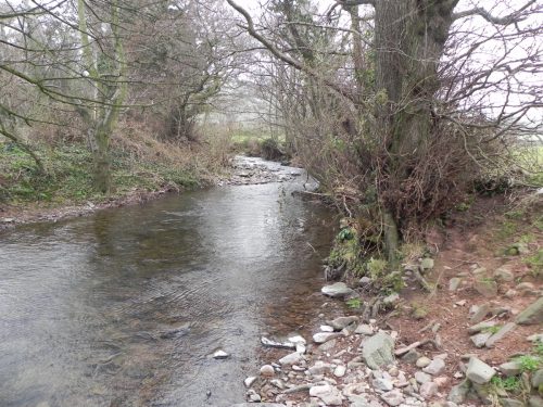 43.-Downstream-from-West-Luccombe
