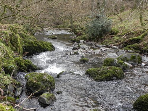 43.-Downstream-from-from-Stoke-Combe